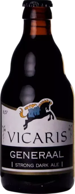 Dilewyns Vicaris Generaal 33 Bruin Bier kopen