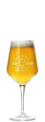 Mr. Hop Proefglas (klein) 19 Bier kopen