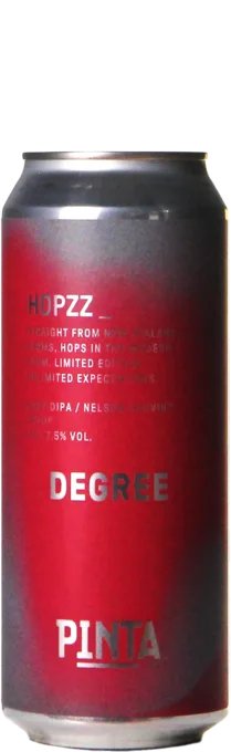 PINTA Hopzz_ Degree 50 IPA Bier kopen
