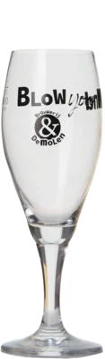 De Molen Voetglas 25cl 25 Bier kopen