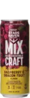 Stadshaven Mix Craft Raspberry & Dragonfruit 33 Mixdrank Bier kopen