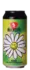 Rock City Daisy